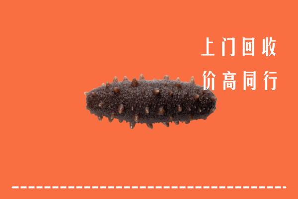 遂昌县回收海参