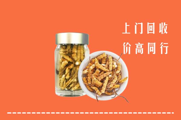 遂昌县回收冬虫夏草